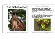 Mini-Buch-Eichhörnchen-Steckbrief-vereinfachte-Version.pdf